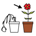 Arasaac 150-9accc359af69685854a015c5e95e8035