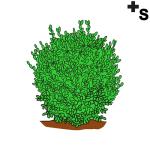 Arasaac 150-b3c5fa78e692e7197b3ee4da83a9714e