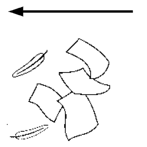 Arasaac 150-ca427634d18656cd9dd23c0066df67f7