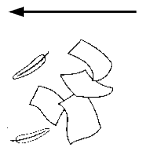 Arasaac 150-b6bc1fa9e696bacbcadc5b081094cced