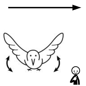 Arasaac 150-b34c7e6318a61fd853ebcb470c134b71