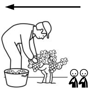 Arasaac 150-ecdcfdb0d3a0f2e2ff2ef4d9c7e669f2