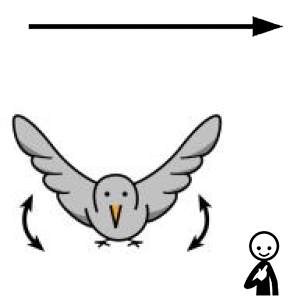 Arasaac 150-b34c7e6318a61fd853ebcb470c134b71